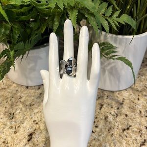 NWOT BIG and BOLD Stainless Steel Ring